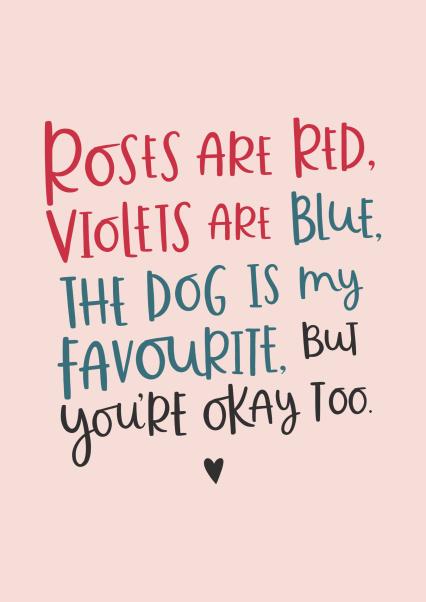 Funny Rude Valentines Cards