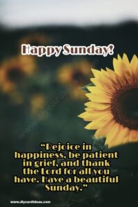 Best Happy Sunday Quotes