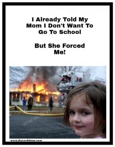 Disaster Girl Memes 8