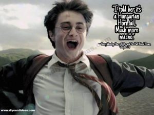 Harry Potter funny quotes