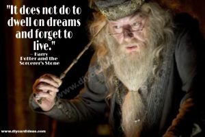 Harry Potter quotes about Dumbledore details