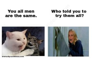 Woman Yelling At Cat Meme 3