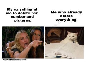 Woman Yelling At Cat Meme 4